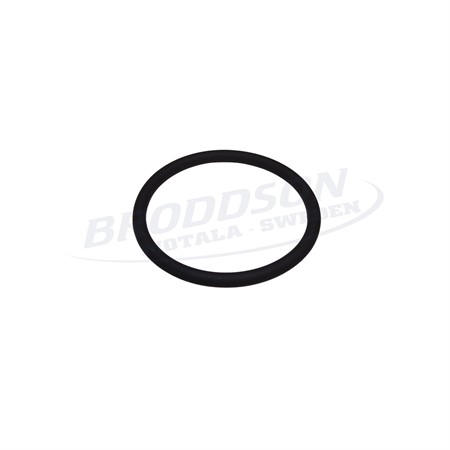 Oring hållare till vattendysa